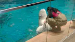 名古屋港水族館に投稿された画像（2023/1/29）