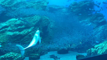 仙台うみの杜水族館に投稿された画像（2023/1/29）