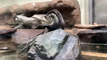 仙台うみの杜水族館に投稿された画像（2023/1/29）