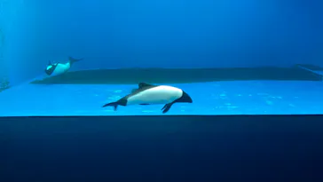 仙台うみの杜水族館に投稿された画像（2023/1/29）