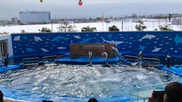 仙台うみの杜水族館に投稿された画像（2023/1/29）