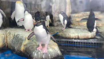 仙台うみの杜水族館に投稿された画像（2023/1/29）