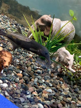 名古屋港水族館に投稿された画像（2023/1/29）