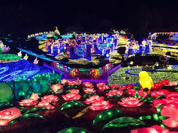 伊豆ぐらんぱる公園に投稿された画像（2023/1/29）