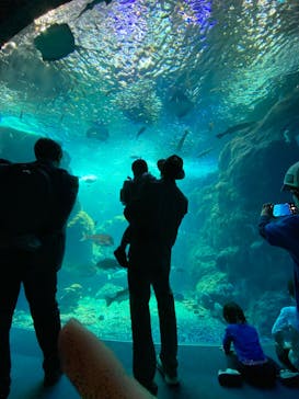 新江ノ島水族館に投稿された画像（2023/1/29）