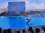 名古屋港水族館に投稿された画像（2023/1/29）
