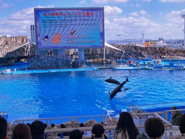 名古屋港水族館に投稿された画像（2023/1/29）