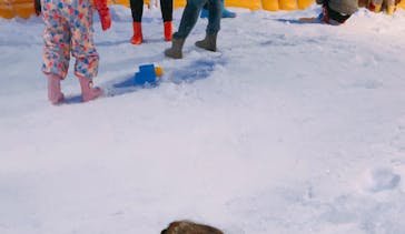 東京あそびマーレに投稿された画像（2023/1/29）