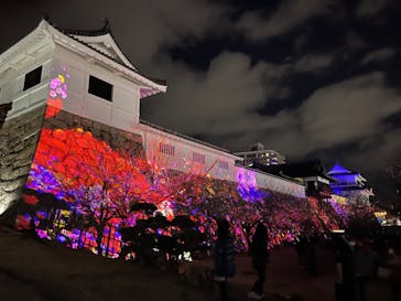 福山城400年博-FUKUYAMA CASTLE EXPO 2022- RCC開局70年 「チームラボ 福山城 光の祭」に投稿された画像（2023/1/29）