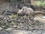 天王寺動物園に投稿された画像（2023/1/29）