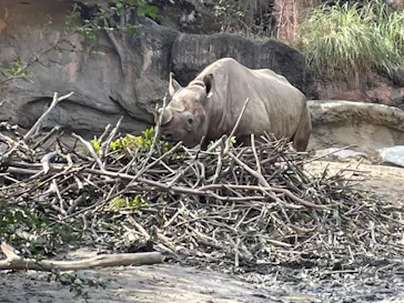 天王寺動物園に投稿された画像（2023/1/29）