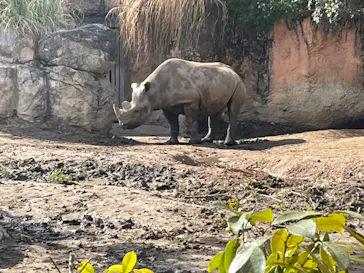 天王寺動物園に投稿された画像（2023/1/29）