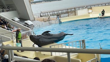 マリンワールド海の中道に投稿された画像（2023/1/29）