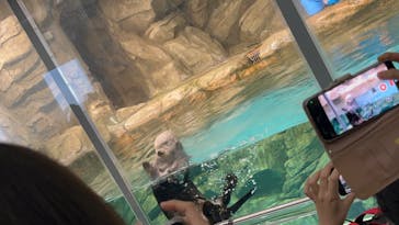 マリンワールド海の中道に投稿された画像（2023/1/29）