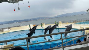 マリンワールド海の中道に投稿された画像（2023/1/29）