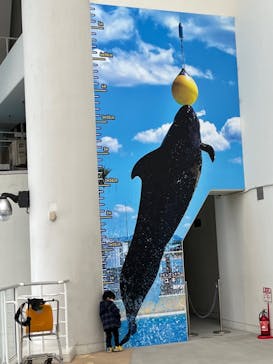 マリンワールド海の中道に投稿された画像（2023/1/29）