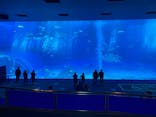 沖縄美ら海水族館に投稿された画像（2023/1/29）