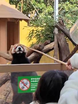 横浜・八景島シーパラダイスに投稿された画像（2023/1/29）