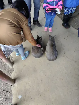 横浜・八景島シーパラダイスに投稿された画像（2023/1/29）