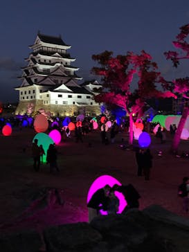 福山城400年博-FUKUYAMA CASTLE EXPO 2022- RCC開局70年 「チームラボ 福山城 光の祭」に投稿された画像（2023/1/29）