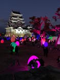 福山城400年博-FUKUYAMA CASTLE EXPO 2022- RCC開局70年 「チームラボ 福山城 光の祭」に投稿された画像（2023/1/29）