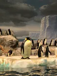 名古屋港水族館に投稿された画像（2023/1/29）