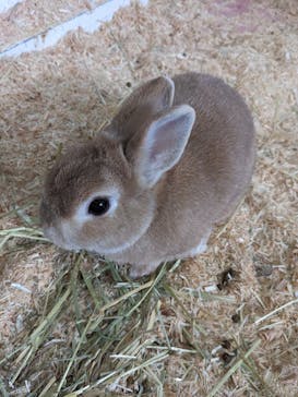 ワールド牧場に投稿された画像（2023/1/29）