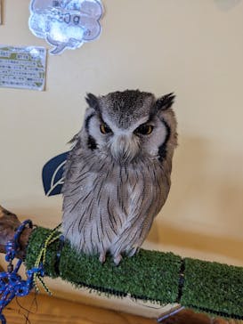 ワールド牧場に投稿された画像（2023/1/29）