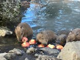 伊豆シャボテン動物公園に投稿された画像（2023/1/29）