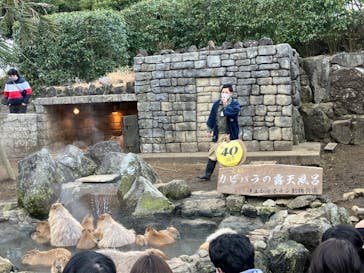 伊豆シャボテン動物公園に投稿された画像（2023/1/29）