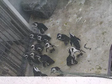 横浜・八景島シーパラダイスに投稿された画像（2023/1/29）