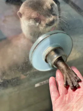横浜・八景島シーパラダイスに投稿された画像（2023/1/29）