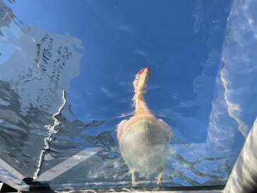 サンシャイン水族館に投稿された画像（2023/1/29）