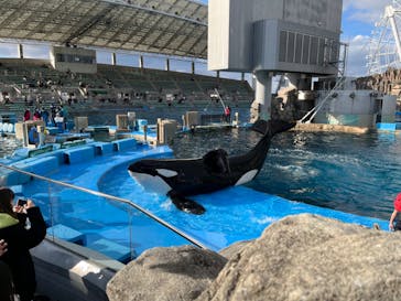 名古屋港水族館に投稿された画像（2023/1/29）