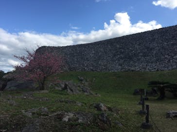 今帰仁城跡に投稿された画像（2023/1/29）