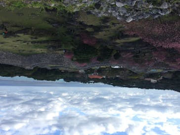 今帰仁城跡に投稿された画像（2023/1/29）