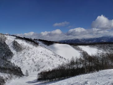 オグナほたかスキー場に投稿された画像（2023/1/29）