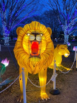 東武動物公園に投稿された画像（2023/1/29）