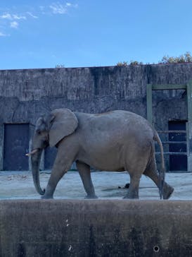 東武動物公園に投稿された画像（2023/1/29）