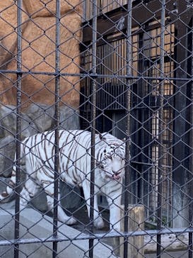 東武動物公園に投稿された画像（2023/1/29）