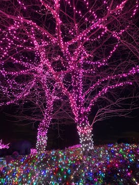 東武動物公園に投稿された画像（2023/1/29）
