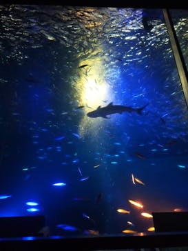 南知多ビーチランド＆南知多おもちゃ王国に投稿された画像（2023/1/29）