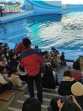 南知多ビーチランド＆南知多おもちゃ王国に投稿された画像（2023/1/29）