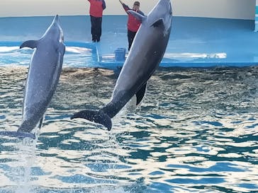 南知多ビーチランド＆南知多おもちゃ王国に投稿された画像（2023/1/29）