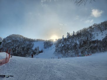 富良野スキー場に投稿された画像（2023/1/29）