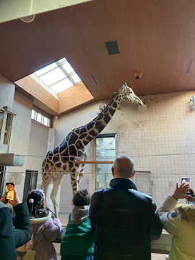 天王寺動物園に投稿された画像（2023/1/29）