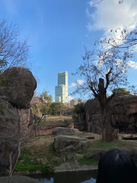 天王寺動物園に投稿された画像（2023/1/29）