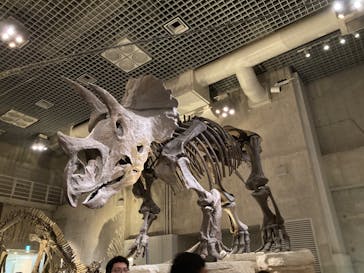 国立科学博物館に投稿された画像（2023/1/29）