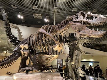 国立科学博物館に投稿された画像（2023/1/29）
