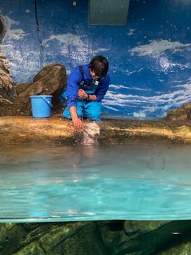 マリンワールド海の中道に投稿された画像（2023/1/29）